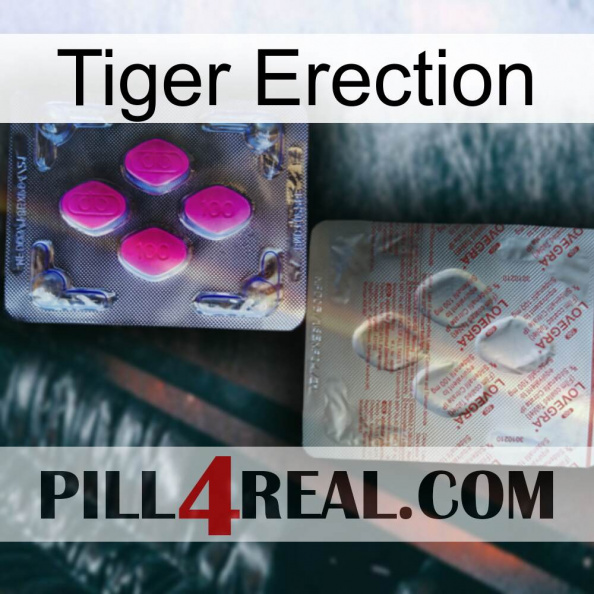 Tiger Erection 38.jpg